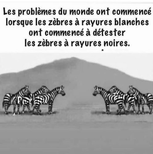 les problèmes du monde.jpg