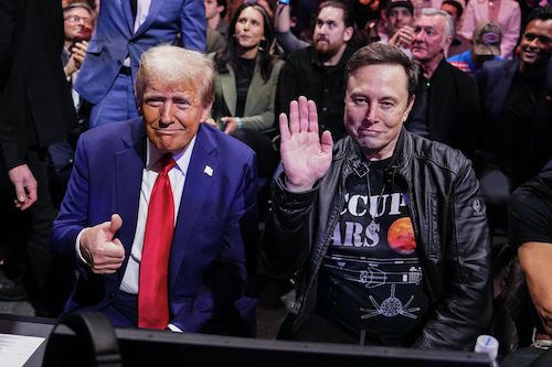 Elon Musk et son ami orange.jpg