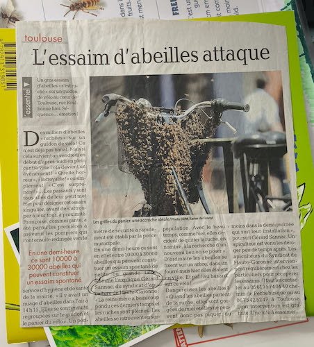 Les abeilles, la suite....jpg