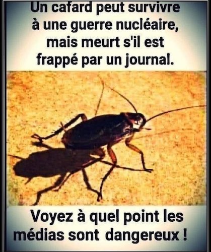 Le cafard.jpg