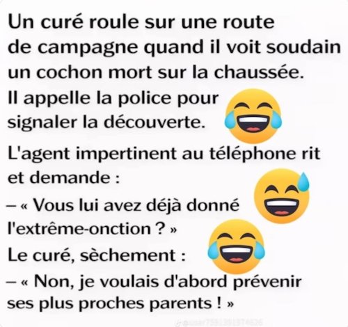 Le cochon, le curé et le policier.jpg