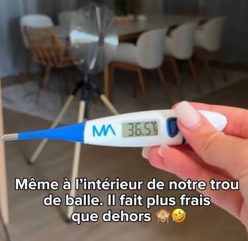 la température.jpg