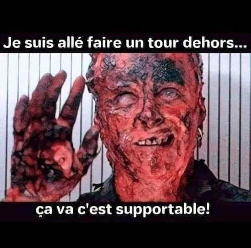 la canicule.jpg