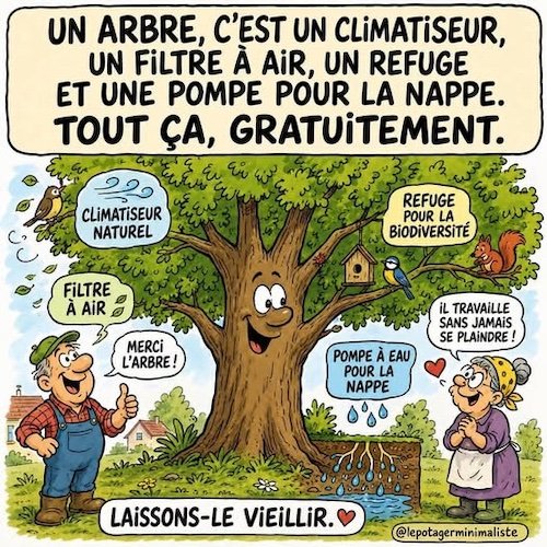 L'arbre.jpg