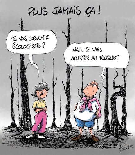 incendies en Gironde.jpg