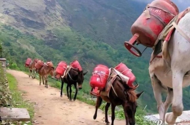 1ère livraison de gaz algérien.jpeg