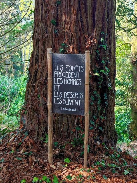 La photo du jour.jpeg