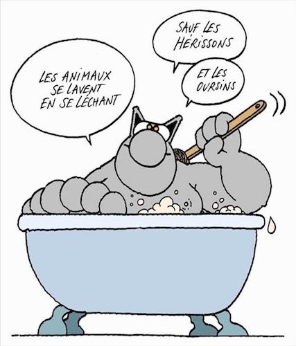 les hérissons et les oursins.jpeg