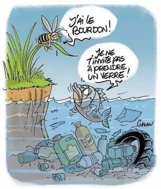 journée mondiale des abeilles.jpg