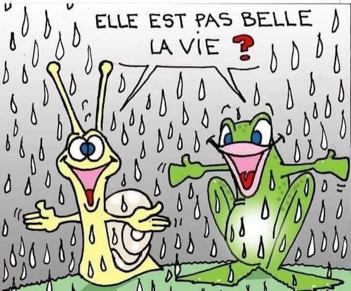 elle n'est pas belle la vie.jpeg