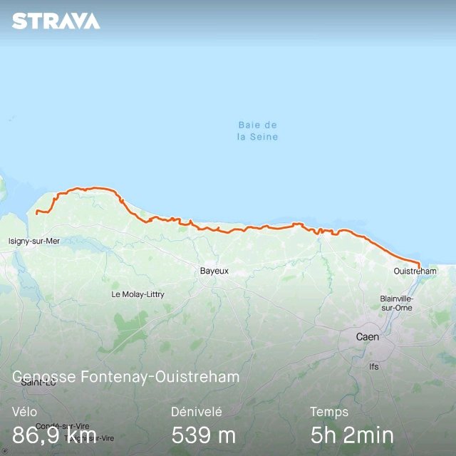 Vendredi 31 mai 2024 Génisse Fontenay- Ouistreham.jpeg