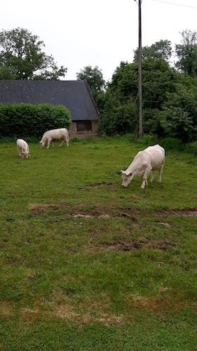 059 Photo de Daniel.jpeg