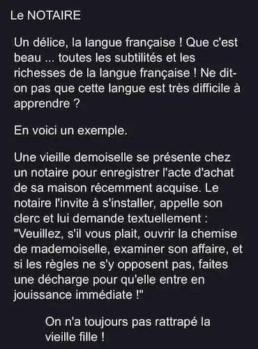 Les délices de la langue française.jpeg