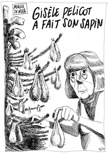 Le sapin de Gisèle Pélicot.jpg