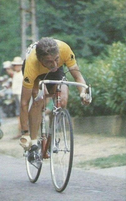 Souvenir Freddy Maertens2.jpg