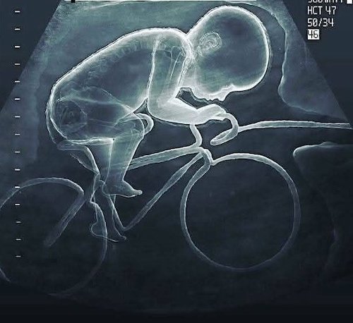 Le fils de Van Baarle et Ferrand Prévot déjà sous contrat.jpeg