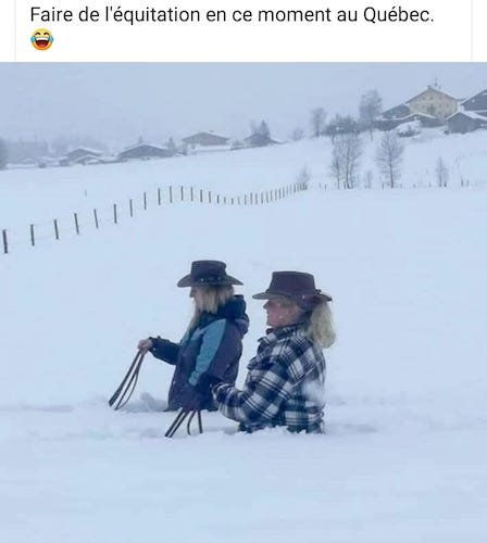 Équitation au Québec.jpg