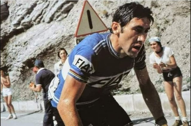 Souvenir Eddy Merckx 6°  en  1977.jpg
