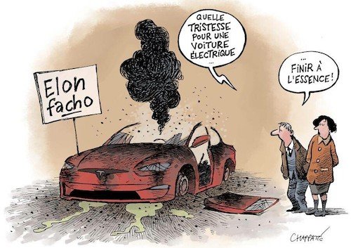 La Tesla d'Elon Must.jpg