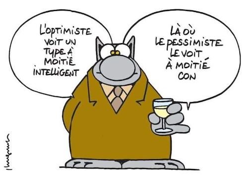 L'optimiste....jpg