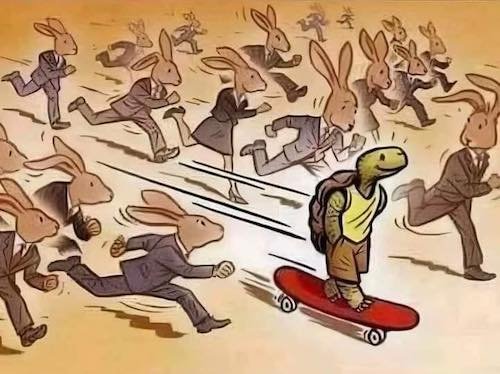 les lièvres et la tortue.jpg