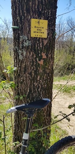 05 Chemin des Abeilles.jpg