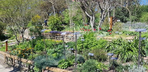 07 Jardin des Senteurs.jpg