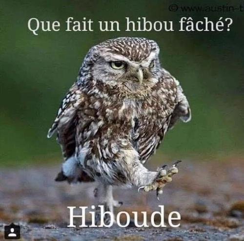 Hiboude.jpg