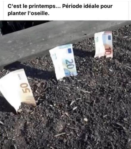 C'est le printemps.jpg