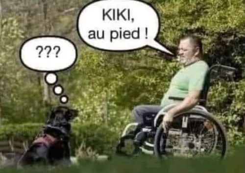 Kiki au pied.jpg