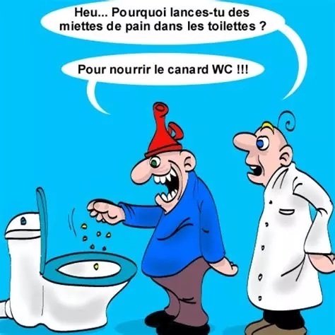 le canard WC.jpg