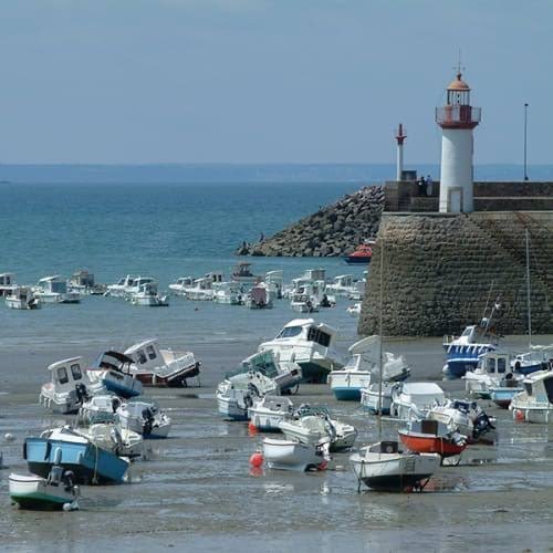 réchauffement climatique.jpg