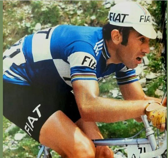 Souvenir Eddy Merckx Le tour de trop ...jpg