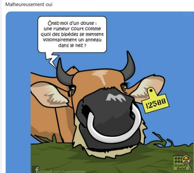 RIONS A1aA1Aa990a2.jpg