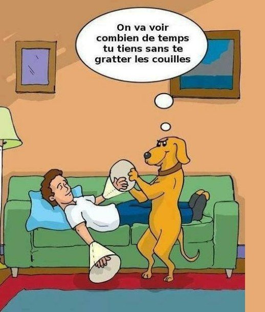 RIONS A1aA1Aa990a2.jpg