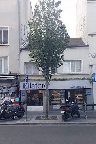 l'arbre qui cache Laforêt.jpg