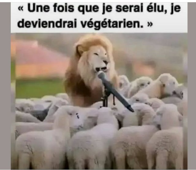 RIONS A1aA1Aa990a1aA1a1.jpg