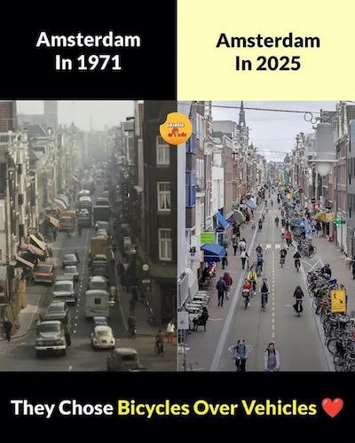 Les Hollandais ont fait le choix du vélo.jpg