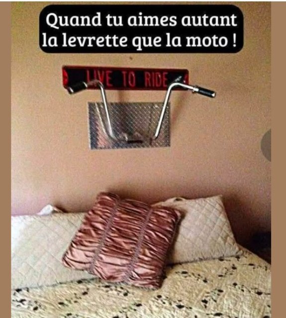 RIONS A1aA1Aa990a1aA1a2.jpg