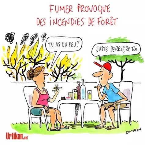 feux de forêt.jpg