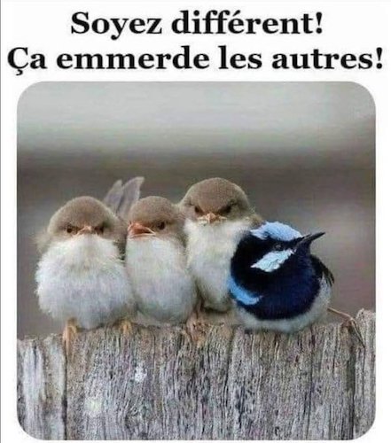 être différent.jpg