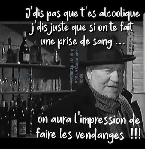 J'dis pas que t'es alcoolique....jpg