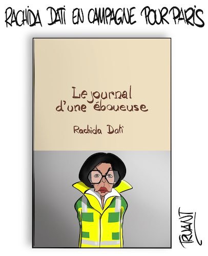 le journal d'une éboueuse.jpg