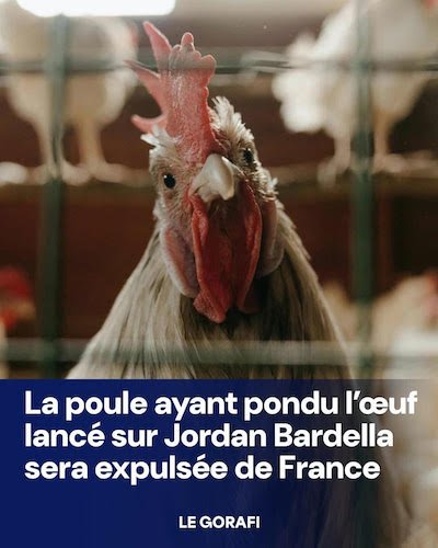 la poule de Bardella.jpg