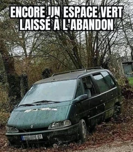 la photo du jour.jpg