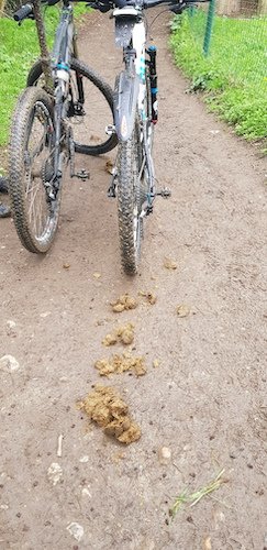même nos VTT en ont chié.jpg